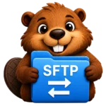beaver_sftp_trans