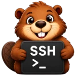 beaver_ssh