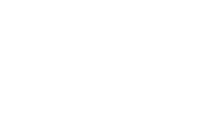 WordPress-logotype-alternative-white