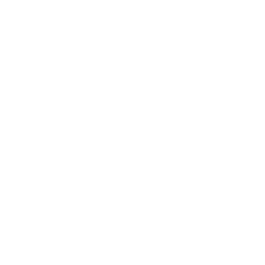 WordPress-logotype-wmark-white